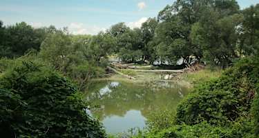 Am Hutweidenweg im Nationalpark Donau-Auen
