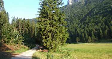 inzell kienbergl runde wildenmoos