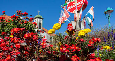 Zukunftbaum in Kindberg