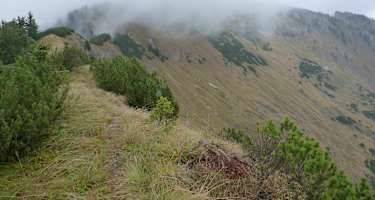 Dürrenstein Sperridl