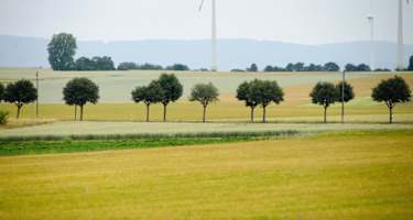 Blick Richtung Mainz