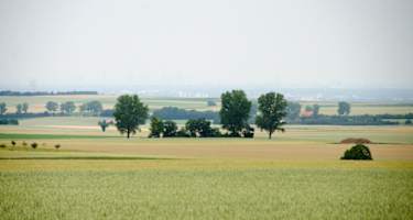 Landschaft im Mainzer-Umland