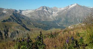Blick vom Silberpfenning auf den Hohen Sonnblick