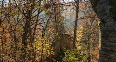Die Ruine Kraftstein versteckt sich im Wald
