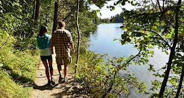 Kramsach, Reintalersee Uferweg, Spazieren, Wandern