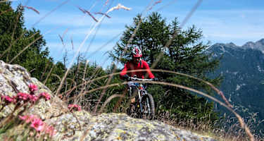 Nach einer anstrengenden Auffahrt auf Forststraßen heißt es Tragen oder Schieben, nur wenige Meter am Wanderweg kann man bergauf fahren. Selbst bei großer Motivation *g*