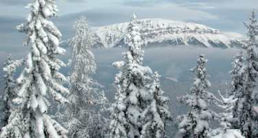 Blick hinüber zur Rax vom Kreuzschober