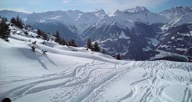 Feine Pulverabfahrten