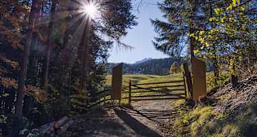 Kultur, Sightseeing, Natur und Abenteuer am „The Sound of Music Trail“ in Werfen.