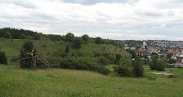 Albschäferweg - Etappe 10: Von Ballmertshofen nach Giengen