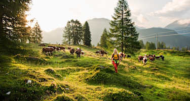 Über schönes Almgelände