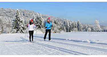 Auch wenn der Böhmerwald vom Wald geprägt wird, führen die Langlaufloipen sehr oft über sonnige Wiesen.