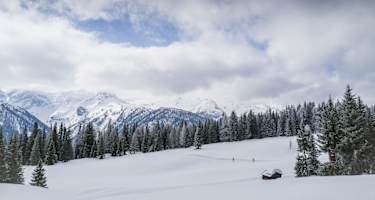 Weitläufig die Höhenloipe am Dorfberg in Osttirol