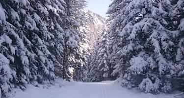 Romantikloipe Kals am Großglockner in Osttirol