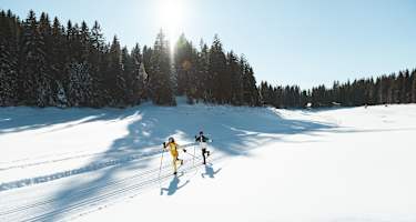 Langlaufen in der Region Seefeld - Klassisch - B3 Wildmoossee
