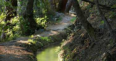 Am Latschanderwaalweg