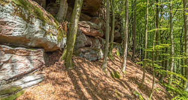 Lemberger Flössertour