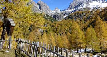Bei der Kerschbaumer Alm 