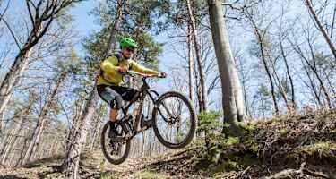 Die natürlichen Wanderwege von der Platte nach Andritz bieten viel Platz zum Spielen.