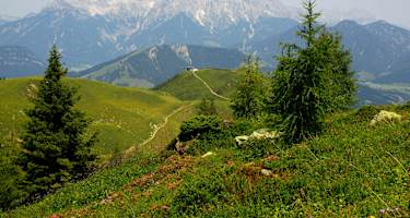 Loferer Steinberge mit Almwiesen bei Fieberbrunn