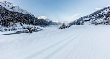 Langlaufen auf der Loipe Scuol-Martina.