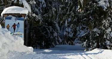 Loipe Unterautal bei Achenkirch am Achensee