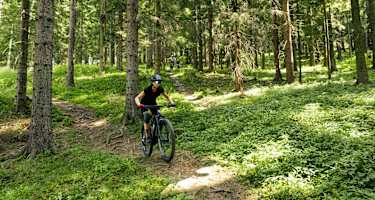 Am Hillbilly Bypass Trail am Josiberg