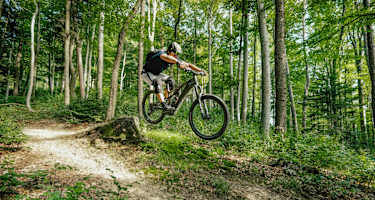 Der Elsbeere-Trail: kurz, idyllisch, verspielt