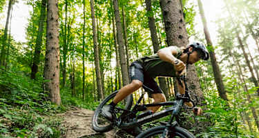 Der Pyhra Trail nahe St. Pölten führt durch den Mischwald von der Rudolfshöhe talwärts.