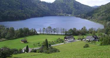 Blick auf den Lunzer See