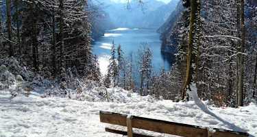 Aussicht vom Malerwinkel über den Königssee nach St. Bartholomä