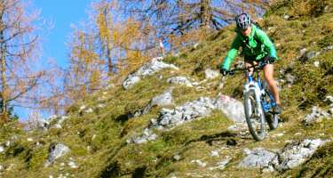 Abfahrt vom Marchgatterl