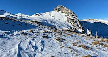 Margelchopf Isisizgrat