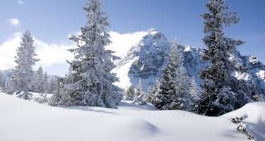 Maria Waldrast Jöchl