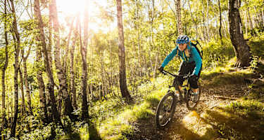 Symboldbild Mountainbike