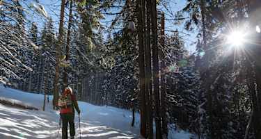 Symbolbild Winterwandern
