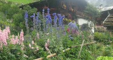 Mitterkaser-Alm im Pfossental