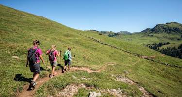 Wanderung Kitzbühler Horn