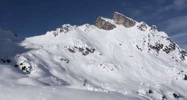 Blick zum Misthaufen