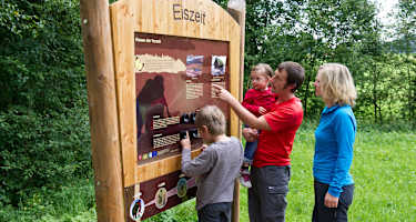 Wirf einen Blick au fdie Giganten der Vorzeit - im Moor-Erlebnis-Pfad Inzell/Chiemgau