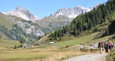 Faulkogel mit Mosermandl von Südweste