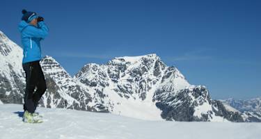 Blick zum Ortler