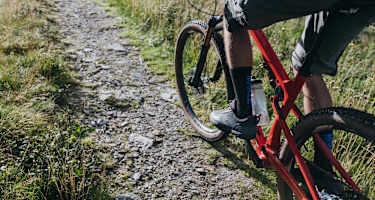 Symbolbild Mountainbike