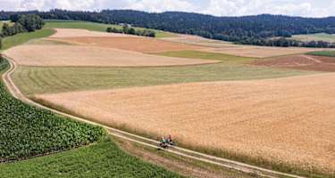 Mountainbiken im Mühlviertler Granitland
