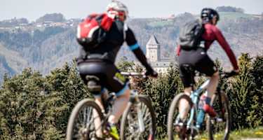 Mountainbiken in St. Martin im Mühlkreis
