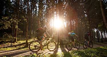 Die Etappe führt auf Forstwegen durch Neufeld.