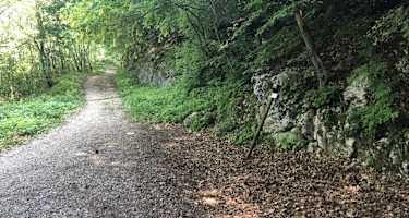 Schotterweg durch Laubwald aufwärts zum Monte Velo am Gardasee.