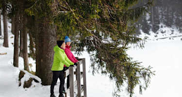 Rund um den Mummelsee
