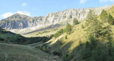 Auf der Moosenalm werde Nature-Watch-Touren vom Naturpark Karwendel angeboten.