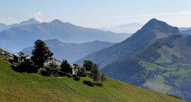 Der Monte Generoso beheimatet gleich zehn alte Nevère.